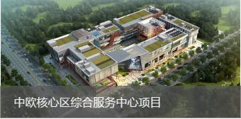 中欧核心区综合超凡国际帮助项目